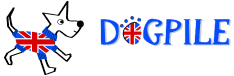 Dogpile Logo & Link